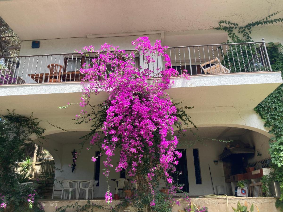 Appartamento La Casa Bonita *